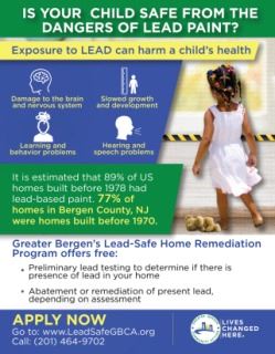 Child Lead Paint Exposure Infographic